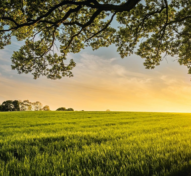 Tentang Medikon Prima Laboratories